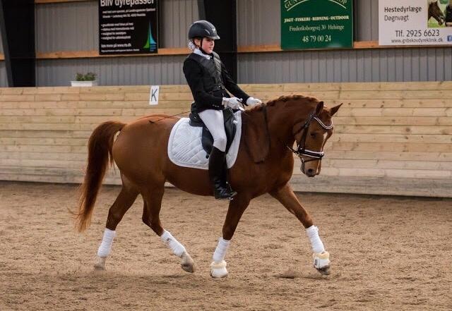 DSP Caesar damgård - Caesar´s første LC3 til 71% billede 12