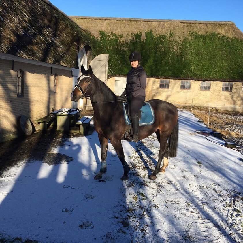 Anden særlig race Newclear p. (Himmelhest) billede 16