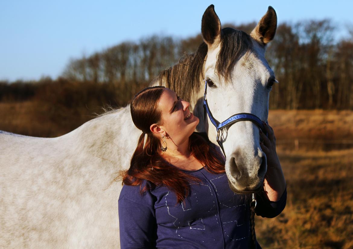 Dansk Varmblod Lambrié Vejen (Avlshoppe) - NYT: Elsker dette billede <3 billede 16