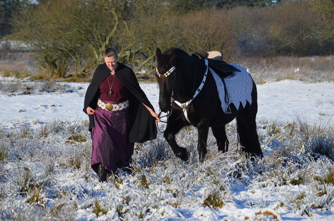 Anden særlig race BLACK DANCER billede 4