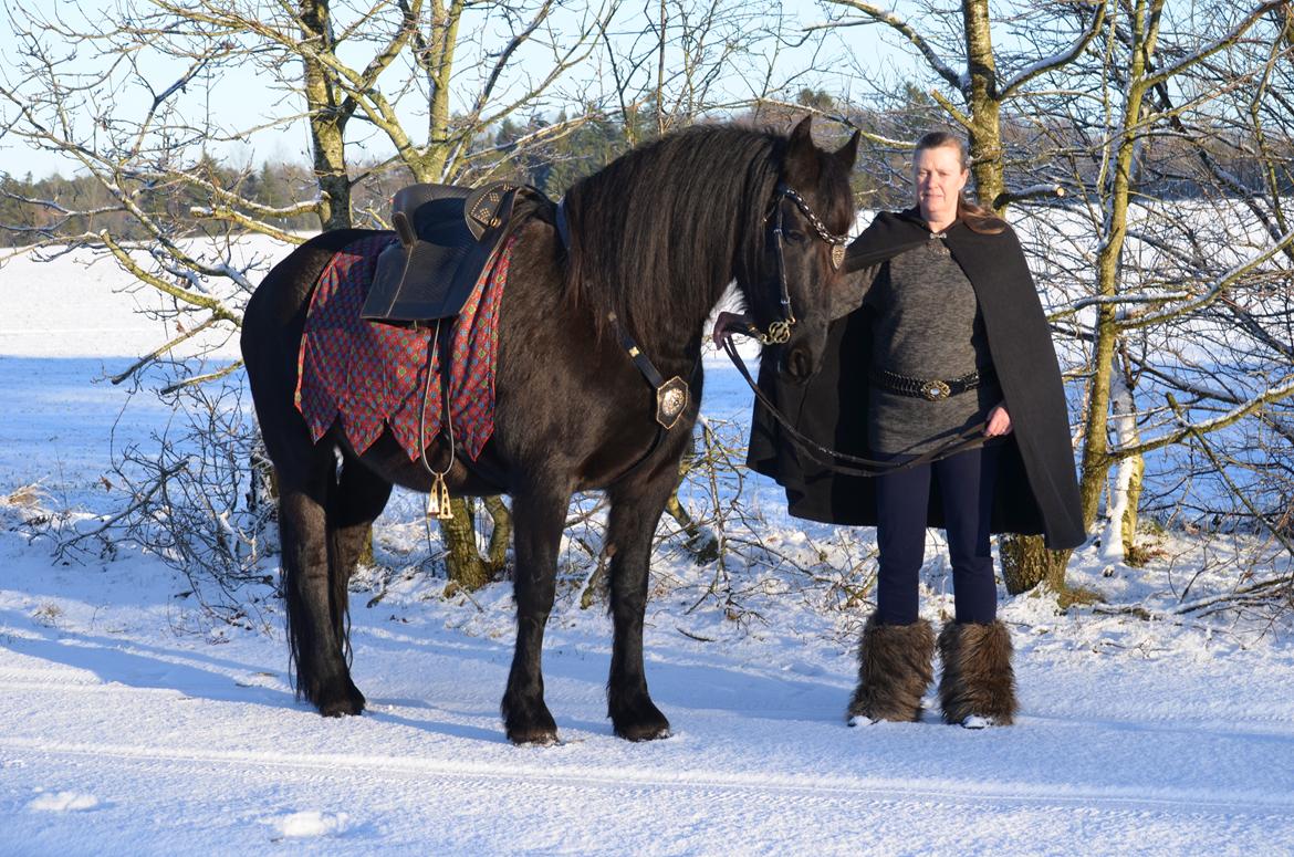 Anden særlig race BLACK DANCER billede 10