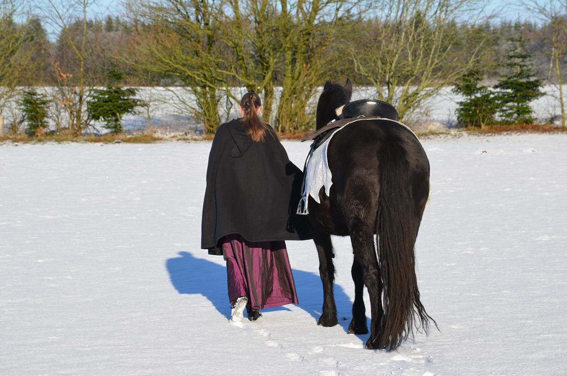 Anden særlig race BLACK DANCER billede 8