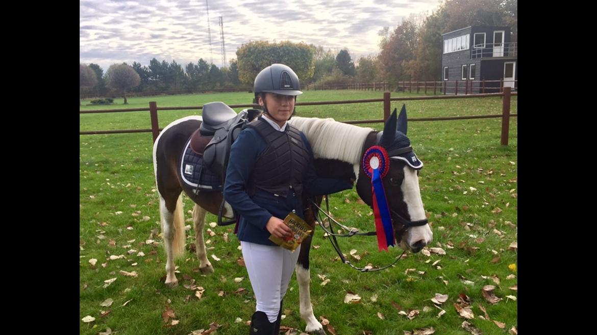 DSP Lady Ammador<3 - B-PONY - LA Stevnstrup 2016 billede 27