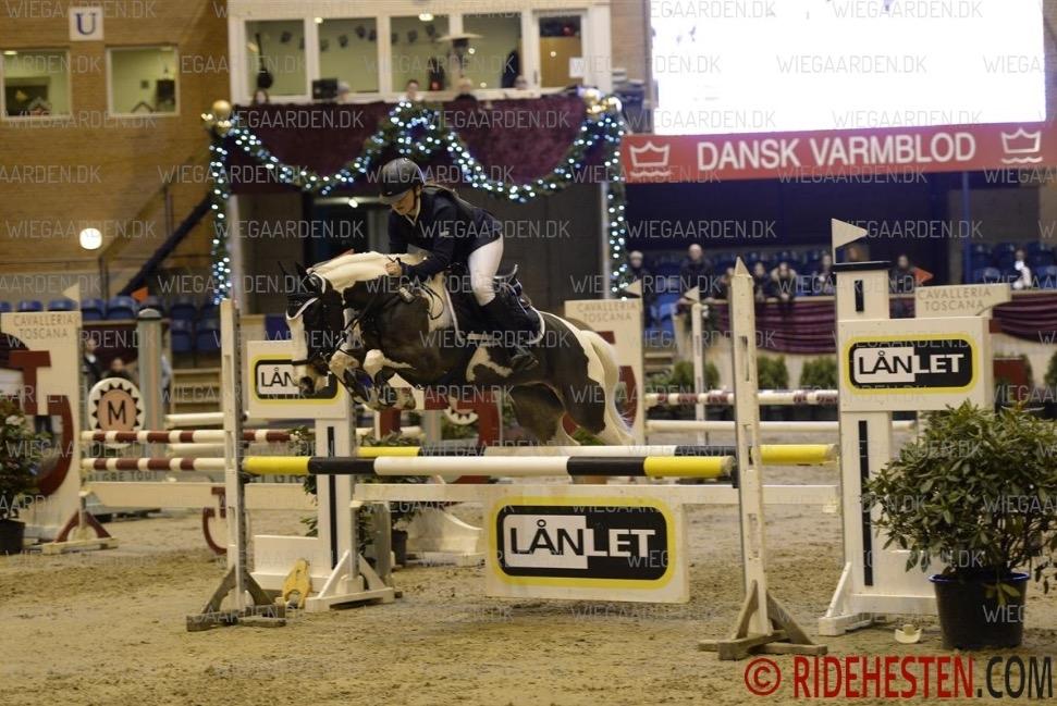 DSP Lady Ammador<3 - B-PONY - Christmas Show 2016<3 billede 20