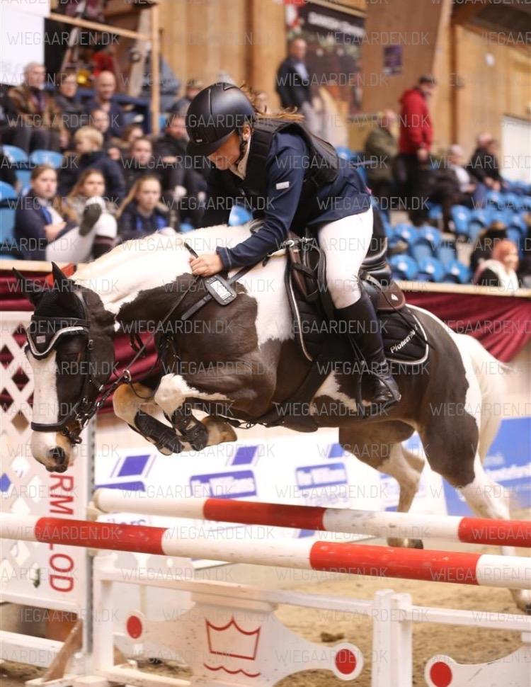 DSP Lady Ammador<3 - B-PONY - Christmas Show 2016 Sølv og Guldtur<3 billede 18