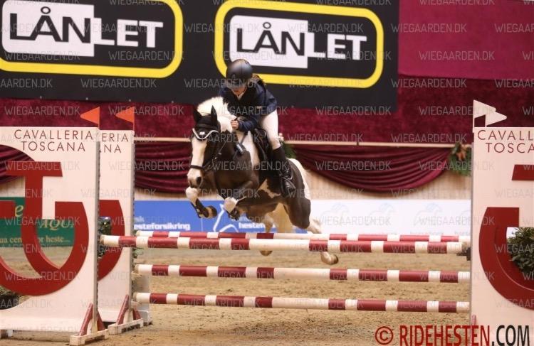 DSP Lady Ammador<3 - B-PONY - Guldtur MB* 2016 - Christmas Show billede 24