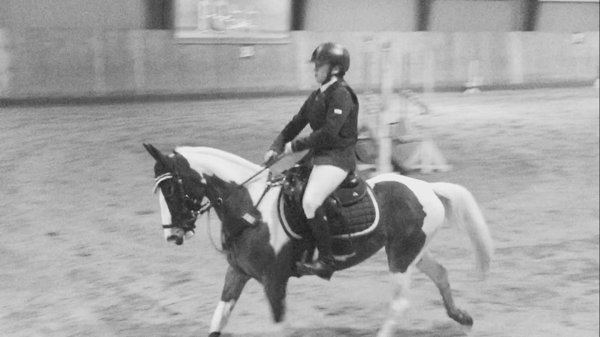 DSP Lady Ammador<3 - B-PONY - Hjallerup Christmas Night 2016, 0 fejl i LA** billede 30