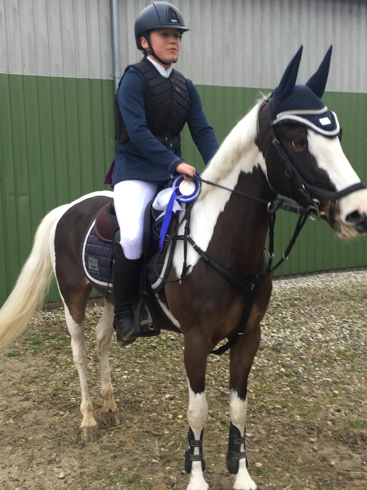 DSP Lady Ammador<3 - B-PONY - LB Djursland Rideklub December 2016 billede 31