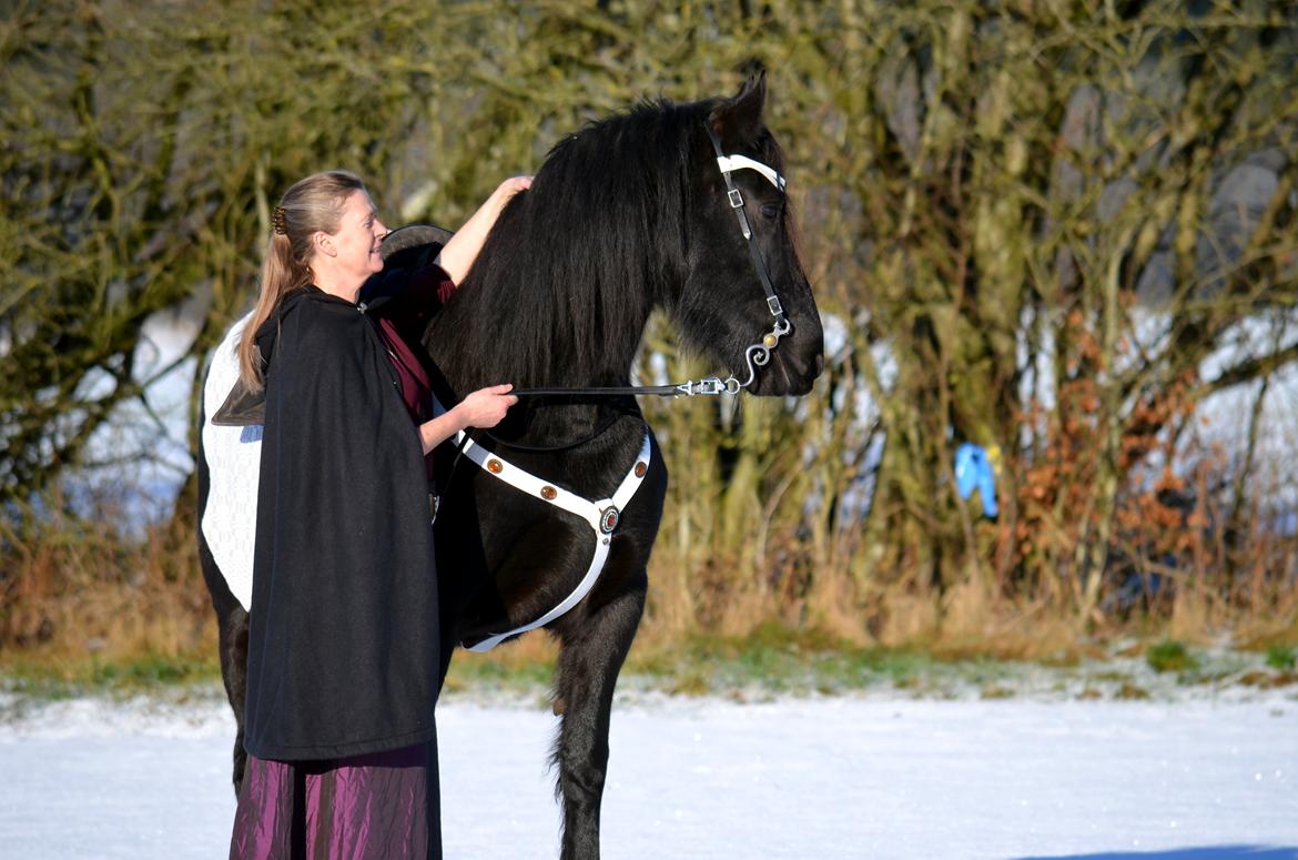 Anden særlig race BLACK DANCER billede 6