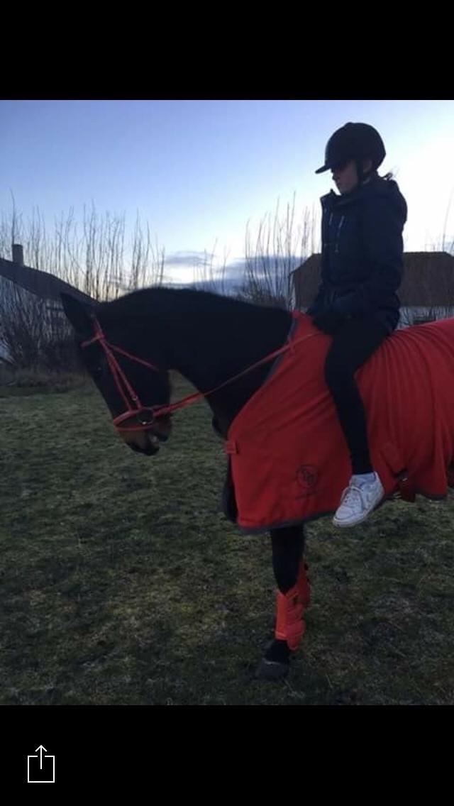 Traver Bette Nøk S billede 4