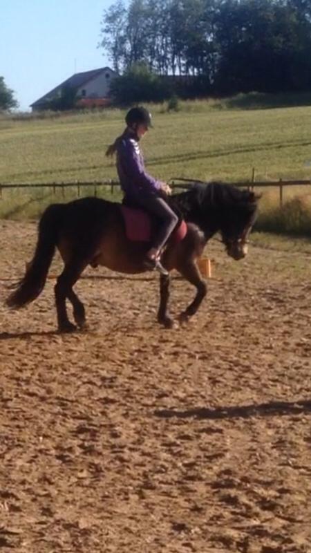 Anden særlig race Felix billede 2