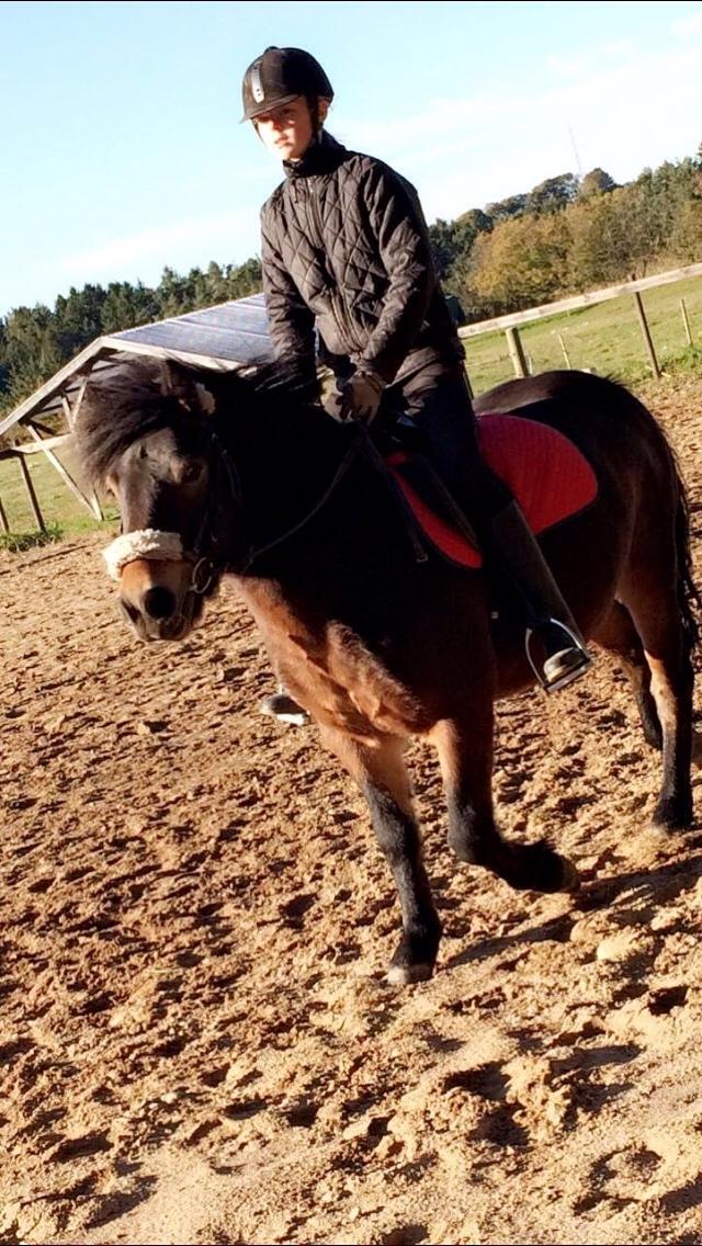 Anden særlig race Felix billede 8