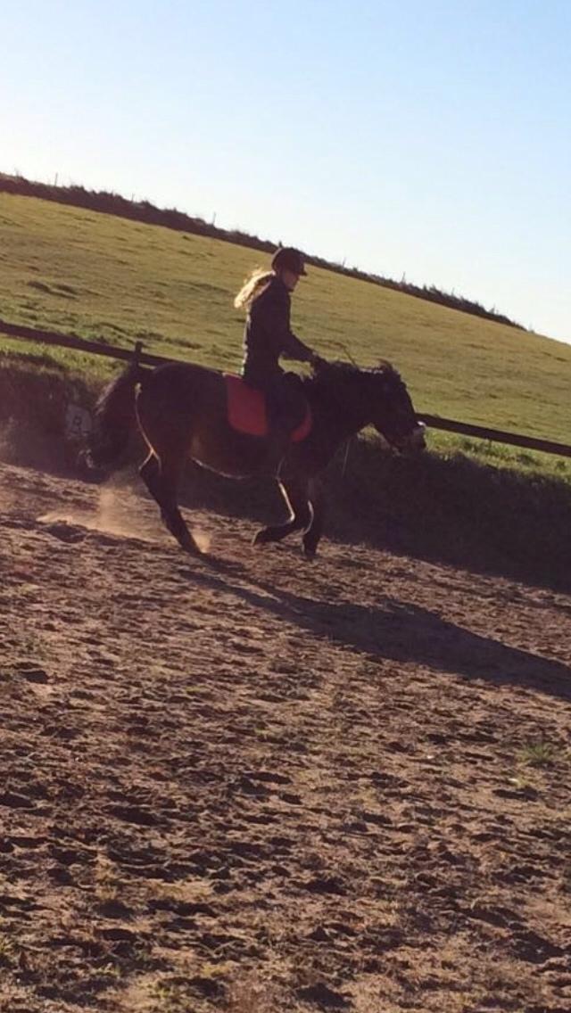 Anden særlig race Felix billede 9