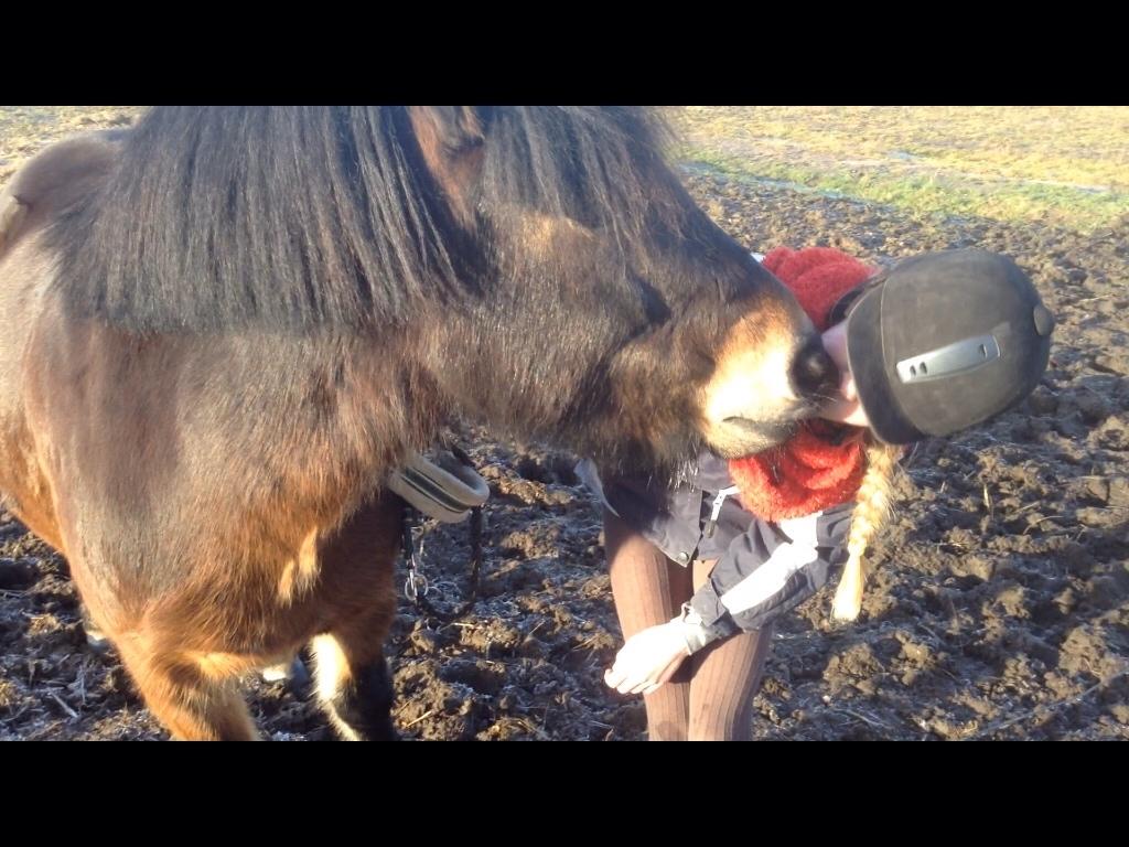 Anden særlig race Felix billede 17