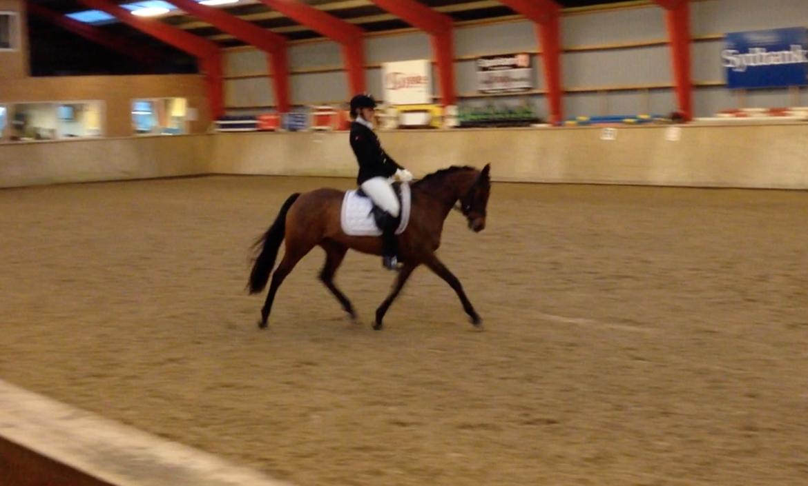 DSP BIRKELUND'S FLAMME billede 3