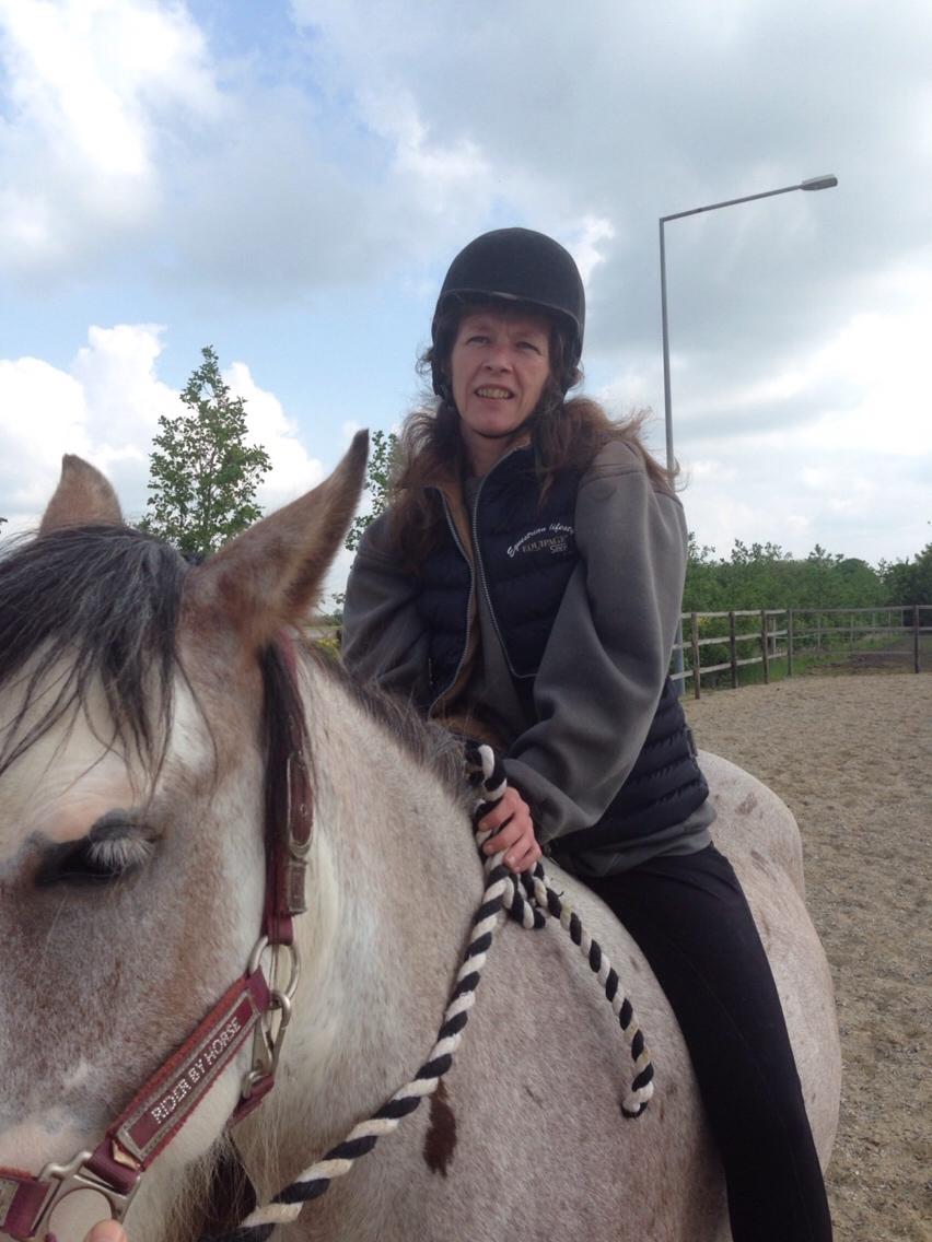 Irish Cob Kijofreg's Acapella (pelsen) solgt billede 29