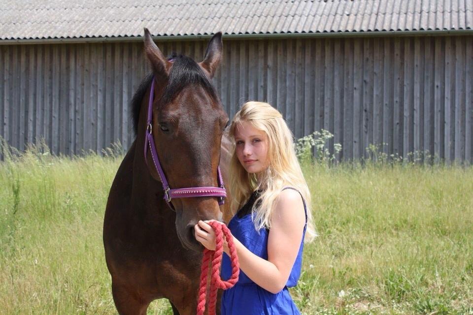 Traver Ideal Ørbæk billede 4