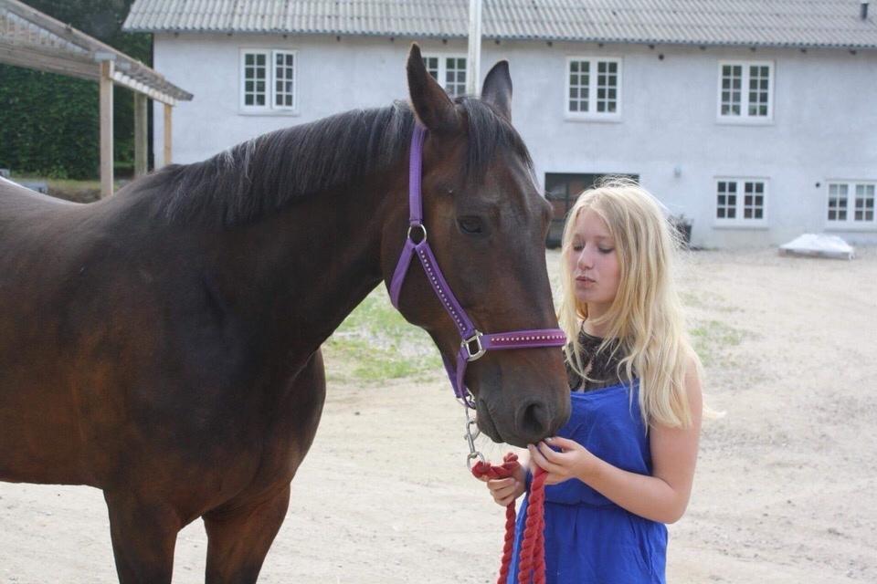 Traver Ideal Ørbæk billede 5