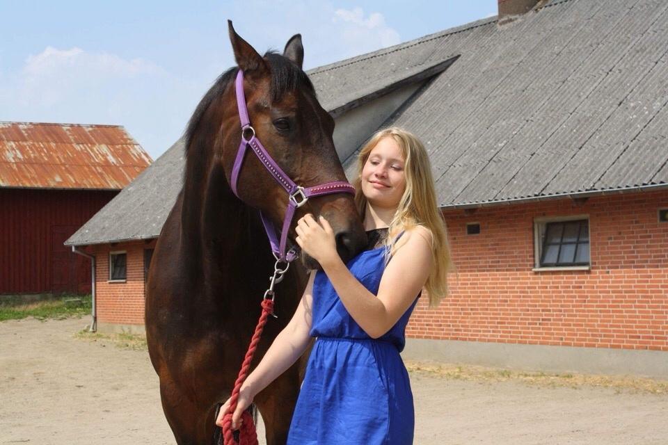 Traver Ideal Ørbæk billede 8