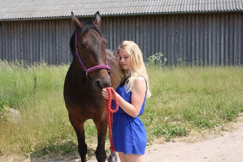 Traver Ideal Ørbæk billede 10