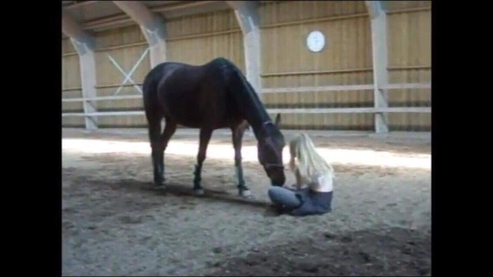Traver Ideal Ørbæk billede 12