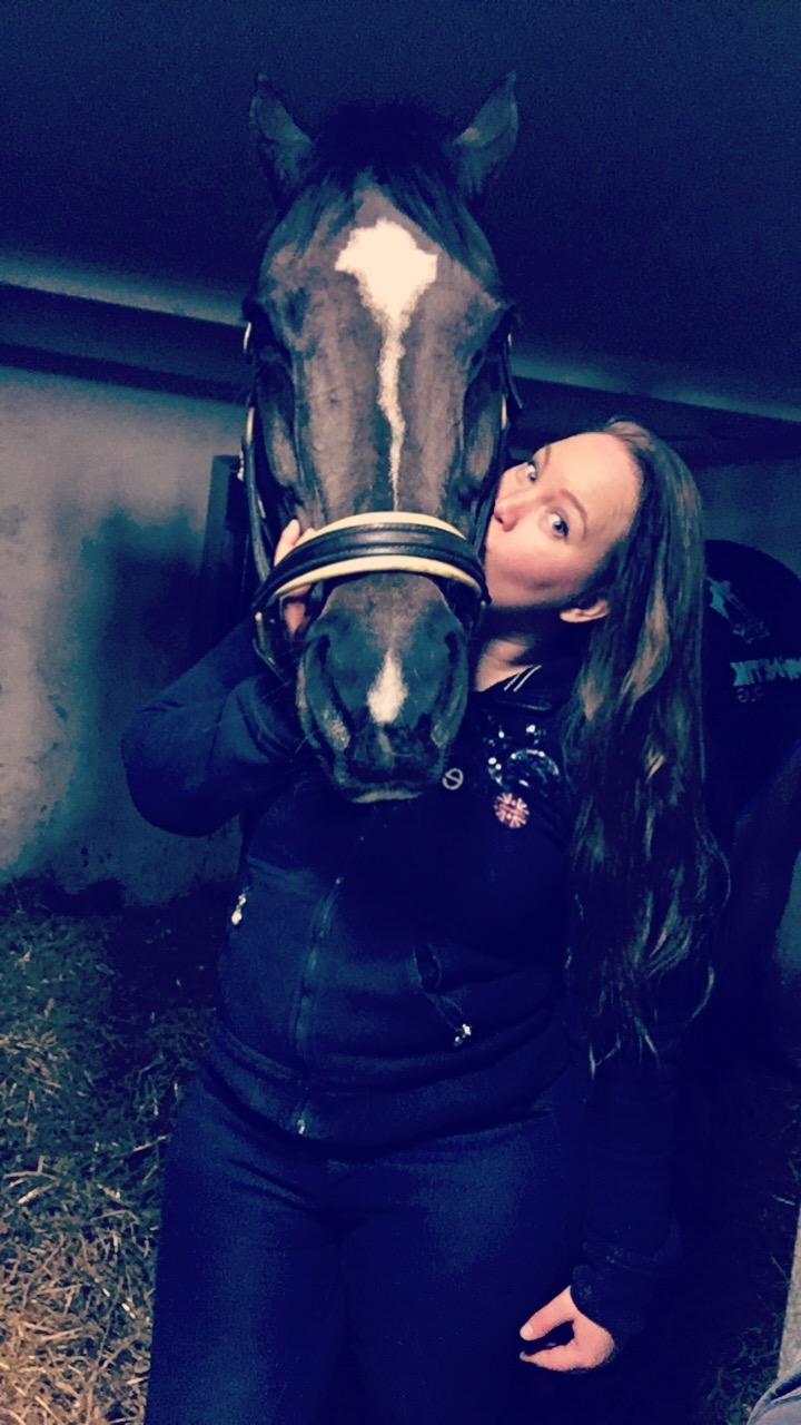 Dansk Varmblod Leana lyngkær billede 1