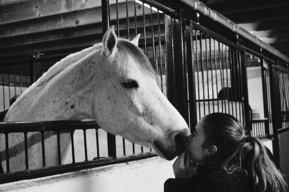 Connemara Asasara Hugin billede 5