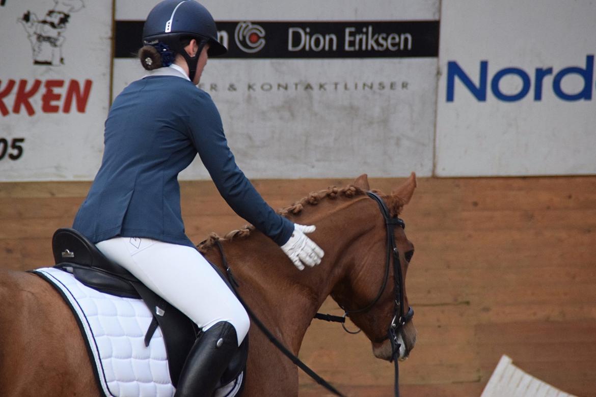 DSP Rawa's Dolce billede 12