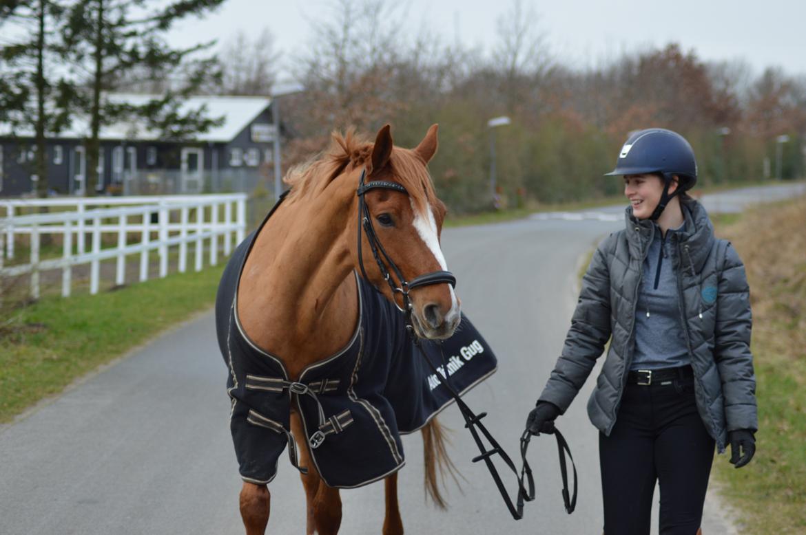 DSP Rawa's Dolce billede 5