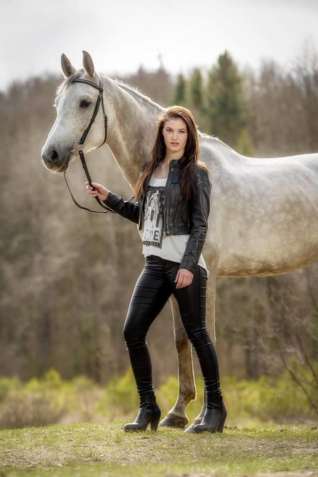 Tysk Oldenburger Edinburgh billede 2