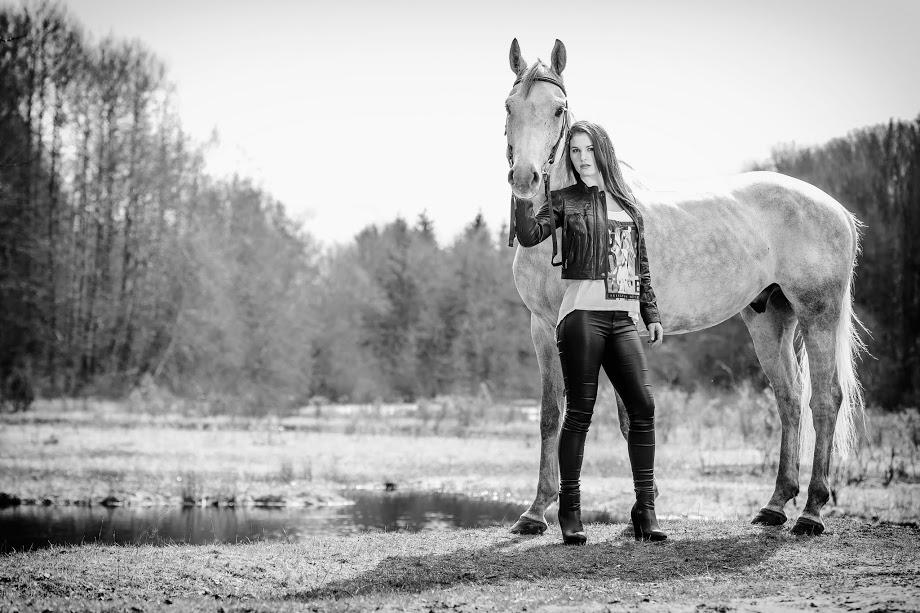 Tysk Oldenburger Edinburgh billede 8