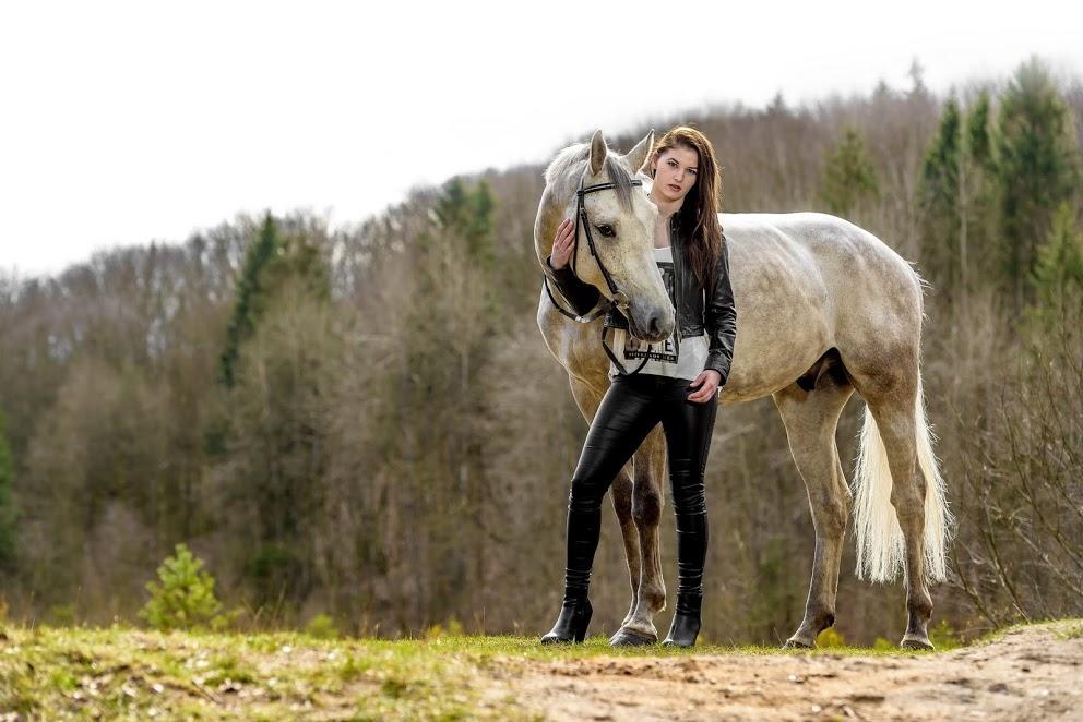 Tysk Oldenburger Edinburgh billede 3