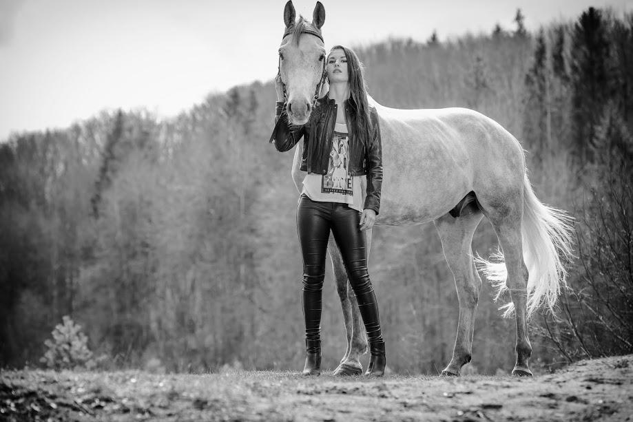 Tysk Oldenburger Edinburgh billede 5