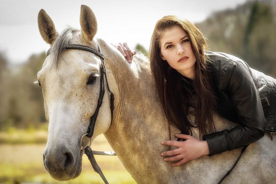 Tysk Oldenburger Edinburgh billede 7