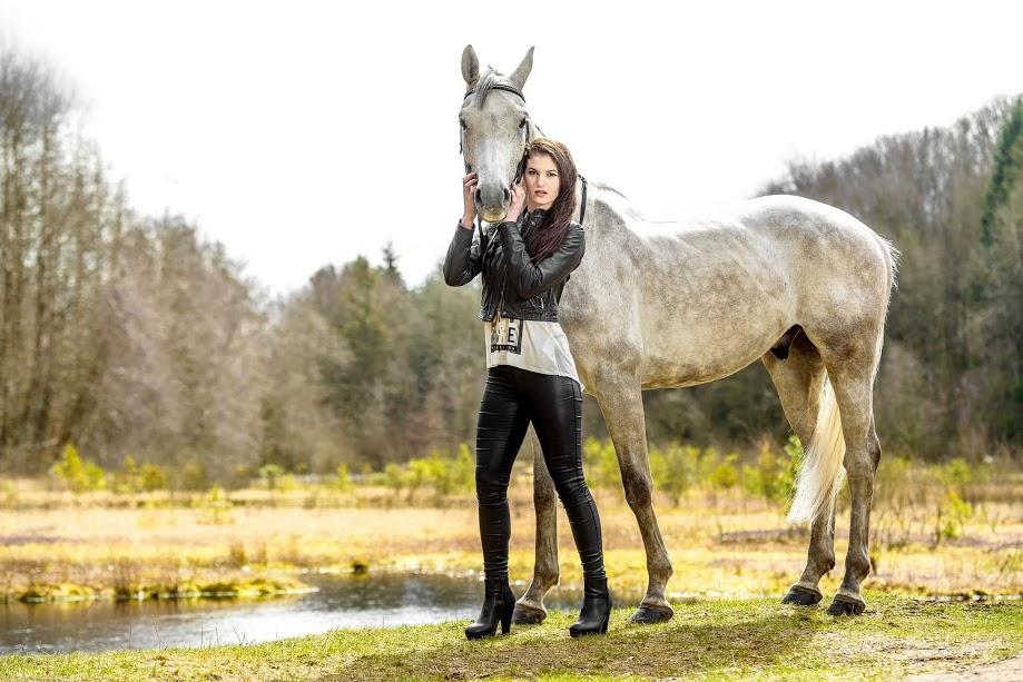 Tysk Oldenburger Edinburgh billede 11