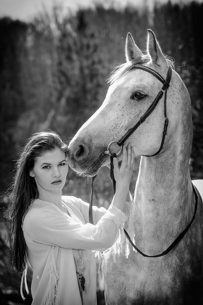 Tysk Oldenburger Edinburgh billede 14