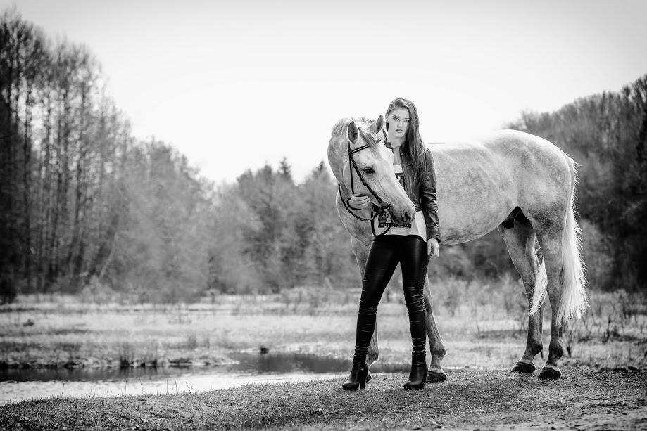 Tysk Oldenburger Edinburgh billede 16