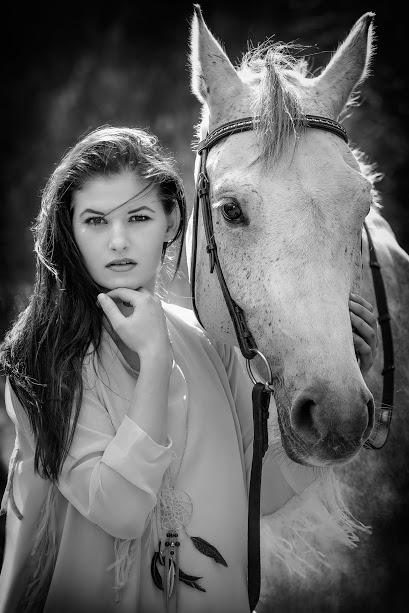 Tysk Oldenburger Edinburgh billede 18