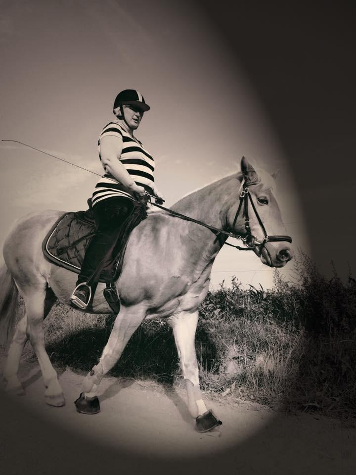 Haflinger Kiwi elghusets - solgt billede 17