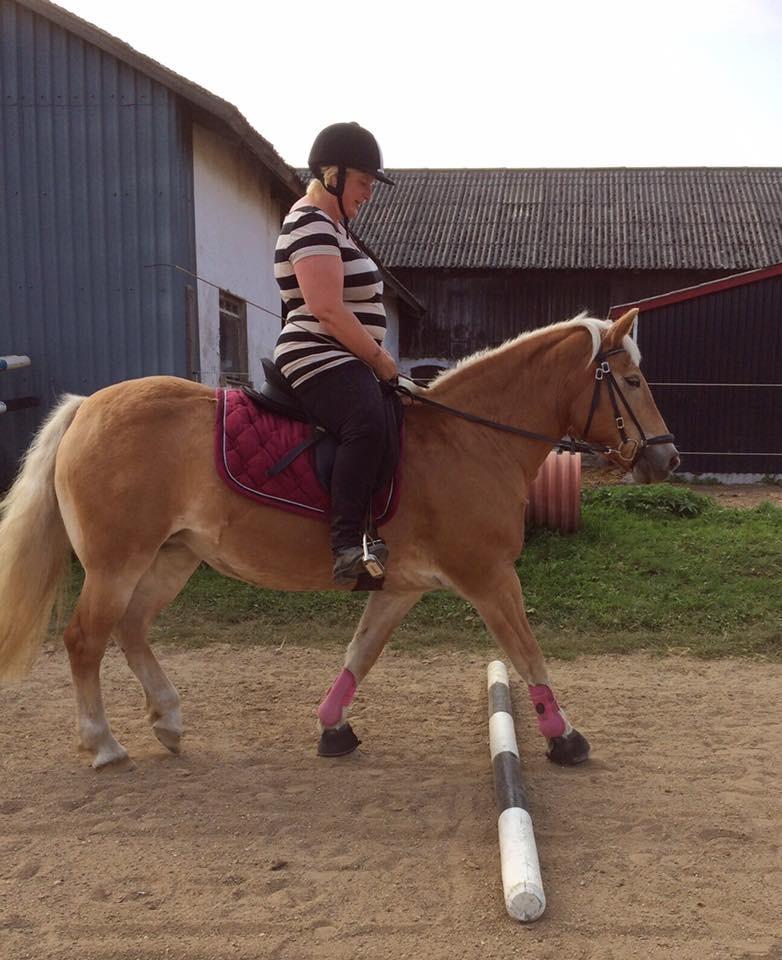 Haflinger Kiwi elghusets - solgt billede 18