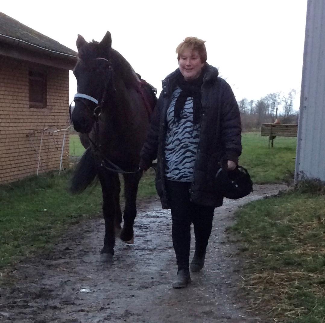 Anden særlig race Lukas - solgt billede 21