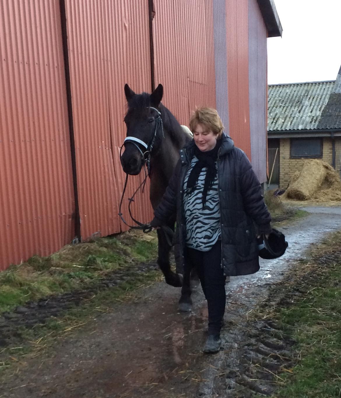 Anden særlig race Lukas - solgt billede 24