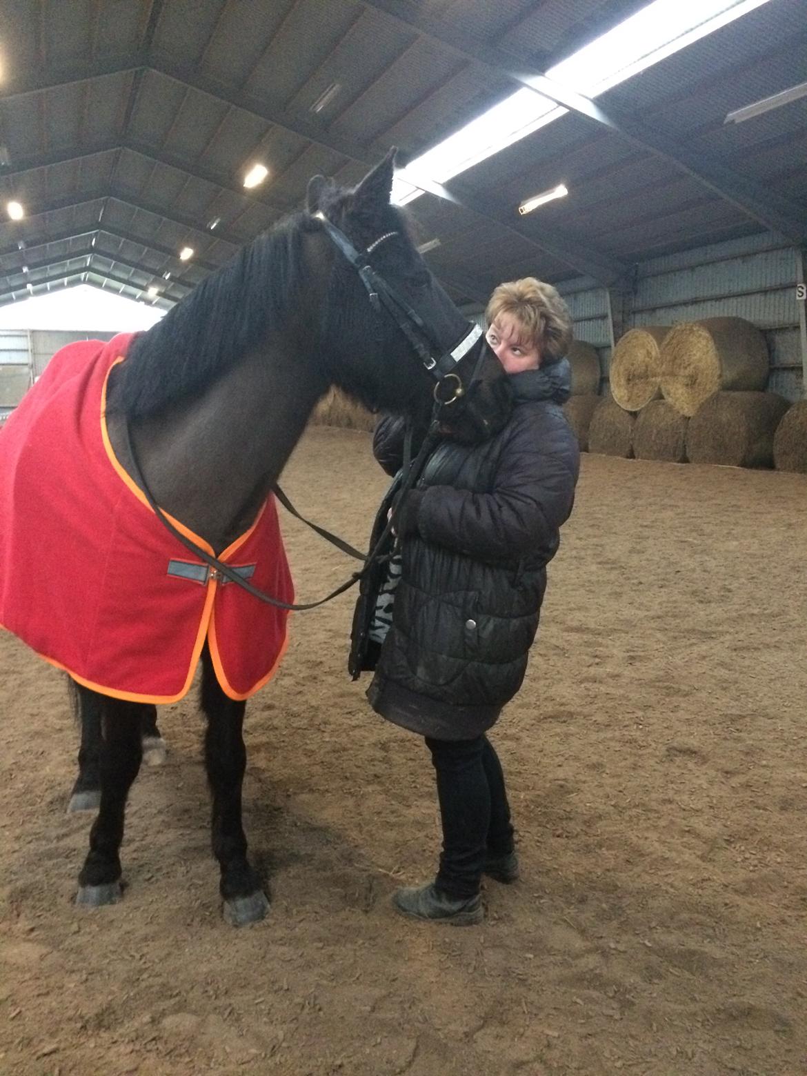 Anden særlig race Lukas - solgt billede 27