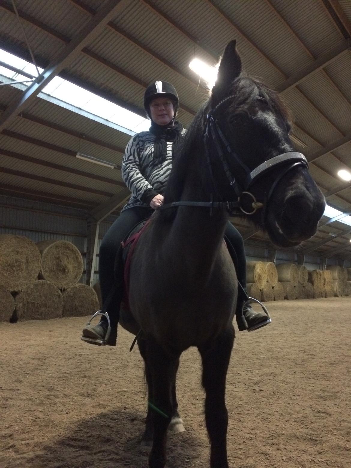 Anden særlig race Lukas - solgt billede 26