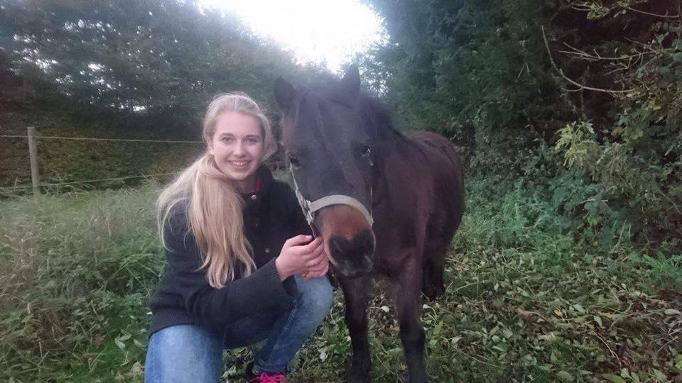 Shetlænder Andrea - Lige da vi havde fået hende hjem.  billede 4