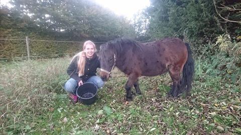 Shetlænder Andrea - September 16 - lille tykke prop billede 5