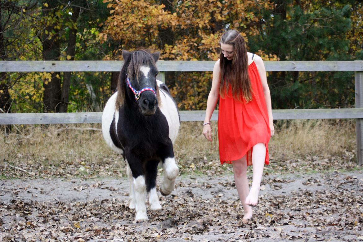 Anden særlig race Rasmus Klump<3 billede 1