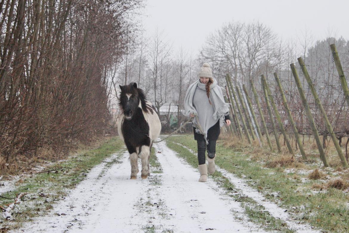 Anden særlig race Rasmus Klump<3 billede 7