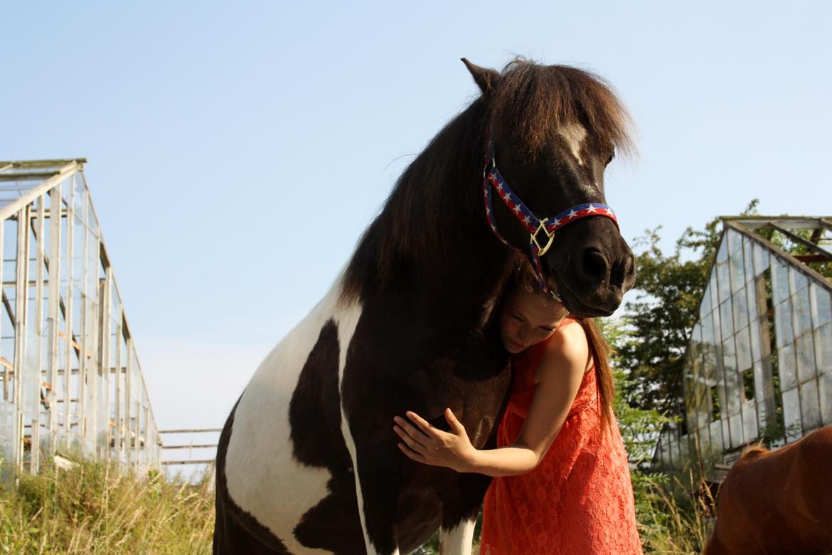 Anden særlig race Rasmus Klump<3 billede 4