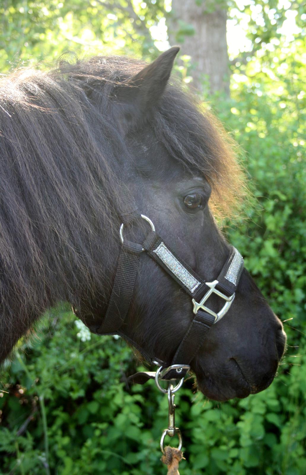 Anden særlig race Rasmus Klump<3 billede 20
